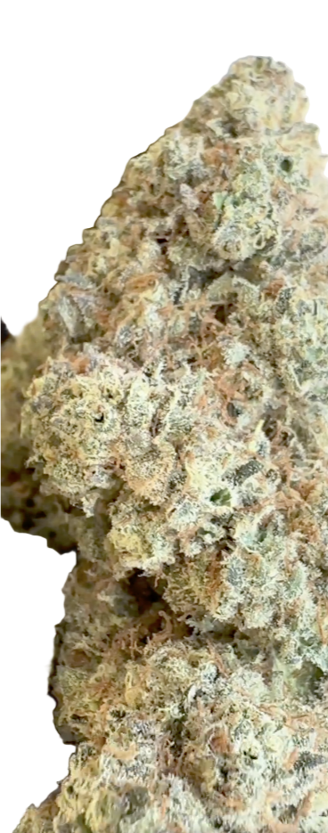 Close-up of a rock hard cannabis sample with a rough texture