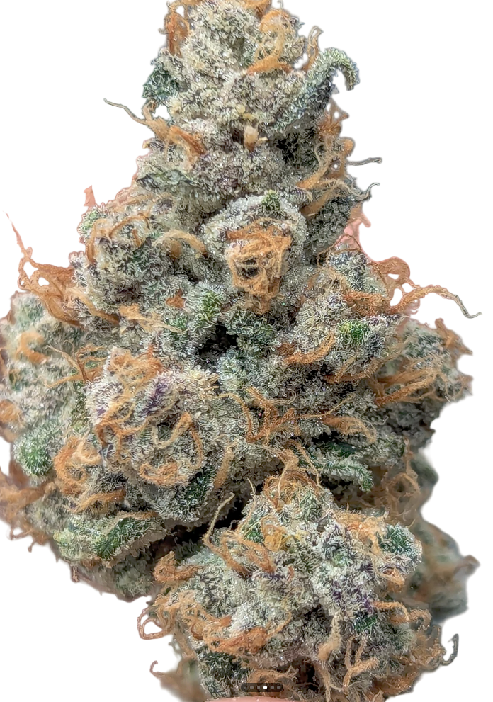 Close-up of a cannabis bud with frosty trichomes on a white background