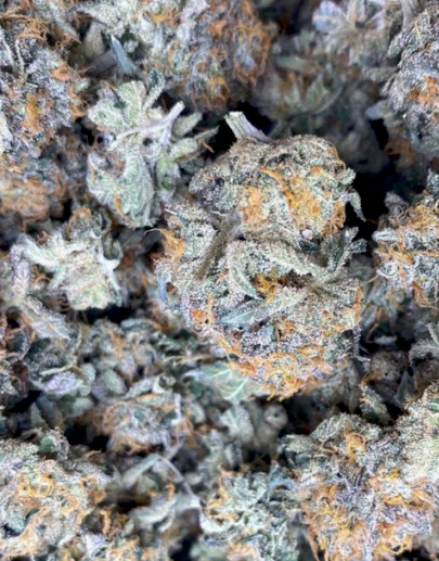 Close-up of dried cannabis buds with orange and green colors.